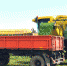033c95b4-5fa7-47b8-9372-429d937d5c31 - Баксанский район