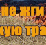 Не поджигайте сухую растительность! - Городской округ Баксан