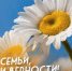 8 июля в России отмечают День семьи, любви и верности - Городской округ Баксан
