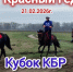 В Баксане пройдёт Кубок КБР по конным пробегам - Городской округ Баксан